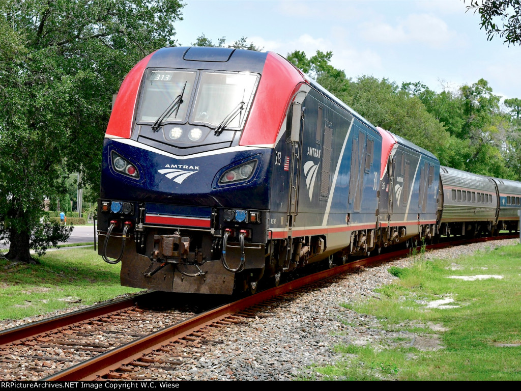 313 - Amtrak Silver Meteor